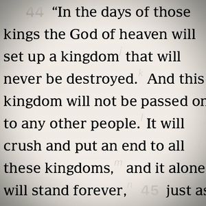 Meet your Posher, Deedee